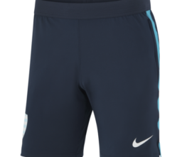 Short training Homme 23-24 Racing 92 x Nike